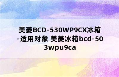 美菱BCD-530WP9CX冰箱-适用对象 美菱冰箱bcd-503wpu9ca